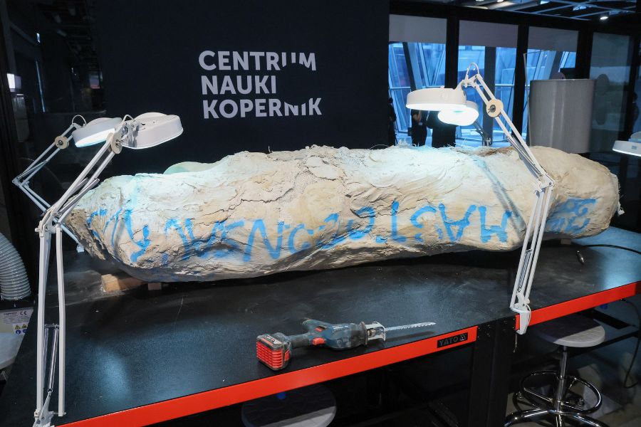 Fragment szkieletu mastodonzaura odkrytego w Miedarach