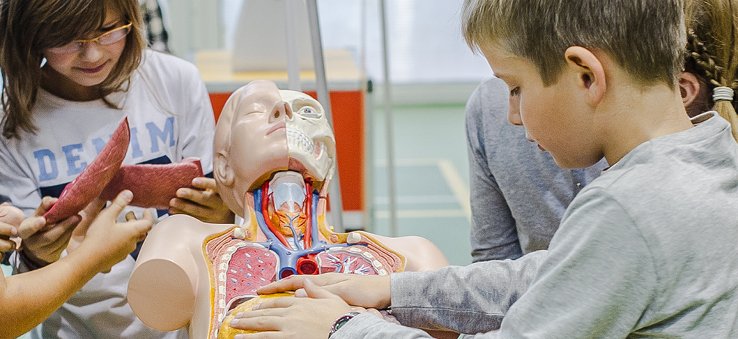 Kopernik w terenie - wystawy objazdowe.jpg