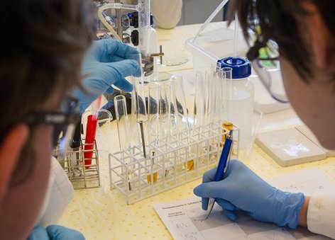 Laboratoria dla grup