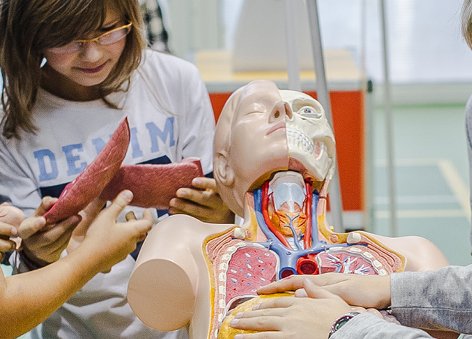 Kopernik w terenie - wystawy objazdowe.jpg