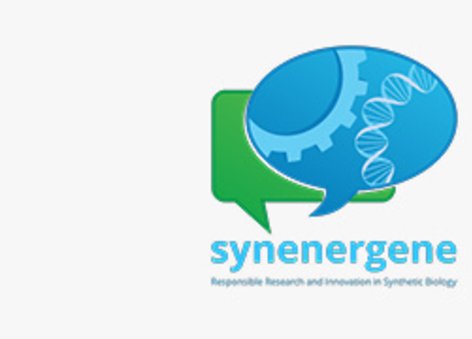 Projekt Synergene