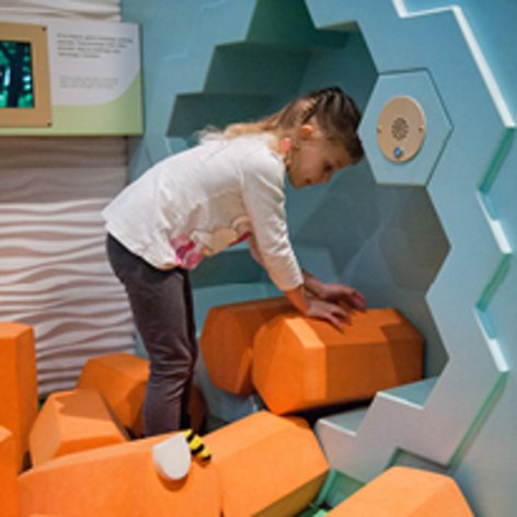 Plaster miodu do układania przez dzieci na wystawie Bzzz!