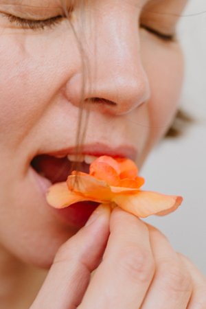 Wizualizacja projektu