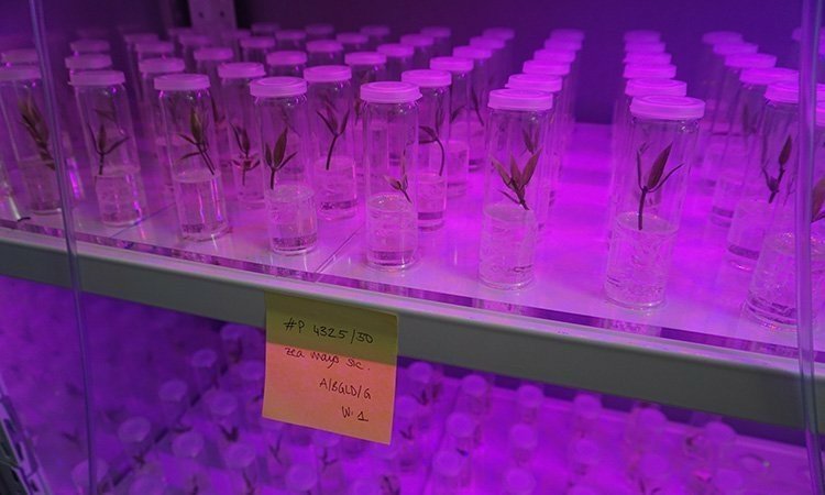 Wizualizacja projektu