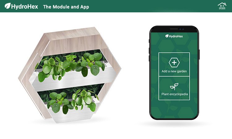 Wizualizacja projektu