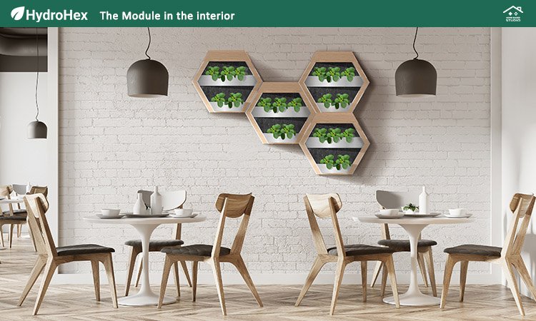 Wizualizacja projektu