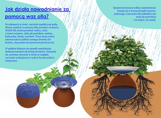 Wizualizacja projektu