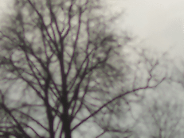 Wizualizacja projektu