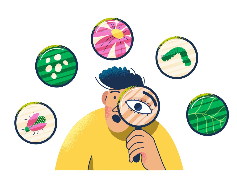 Ilustracja przedstawiająca osobę trzymającą lupę, przez którą widoczna jest powiększona część oka. Wokół niej znajdują się okrągłe ikony przedstawiające różne elementy przyrody: różowy kwiat, zieloną gąsienicę, liść, różnokolorowego owada, oraz zielone liście z białymi plamami. Styl graficzny jest prosty, kolorowy i przypominający rysunek.