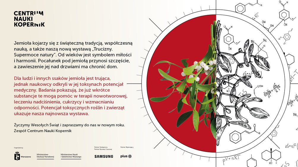Po prawej stronie znajduje się obraz przedstawiający jemiołę. Lewa część jest w kolorze czerwonym z naturalnym zdjęciem jemioły z zielonymi liśćmi i białymi owocami. Prawa część jest monochromatyczna, ukazując rysunek botaniczny jemioły wraz z wzorami chemicznymi.