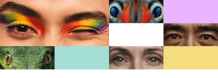 U góry grafiki widać kolorowe prostokąty oraz prostokątne zdjęcia przedstawiające ludzkie i zwierzęce oczy. 