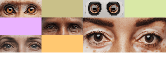 U góry grafiki widać kolorowe prostokąty oraz prostokątne zdjęcia przedstawiające ludzkie, zwierzęce robotyczne oczy. 