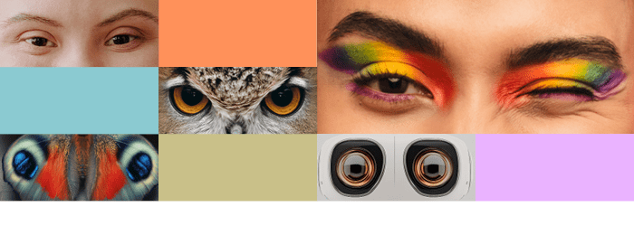U góry grafiki widać kolorowe prostokąty oraz prostokątne zdjęcia przedstawiające ludzkie, zwierzęce robotyczne oczy. 