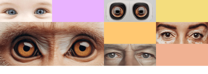 U góry grafiki widać kolorowe prostokąty oraz prostokątne zdjęcia przedstawiające ludzkie, zwierzęce robotyczne oczy. 