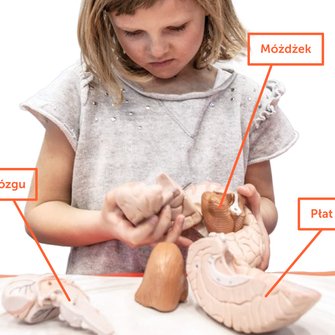 Wystawa objazdowa Umysł Przyłapany