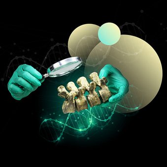 Ręce w zielonych rękawiczkach laboratoryjnych trzymają fragment kości z zębami i oglądają go przez lupę. W tle grafika z motywem DNA i abstrakcyjne kręgi naukowe.