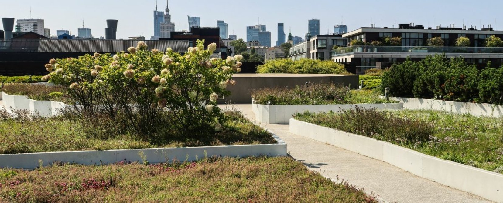 Zdjęcie przedstawia ogród na dachu Centrum Nauki Kopernik.