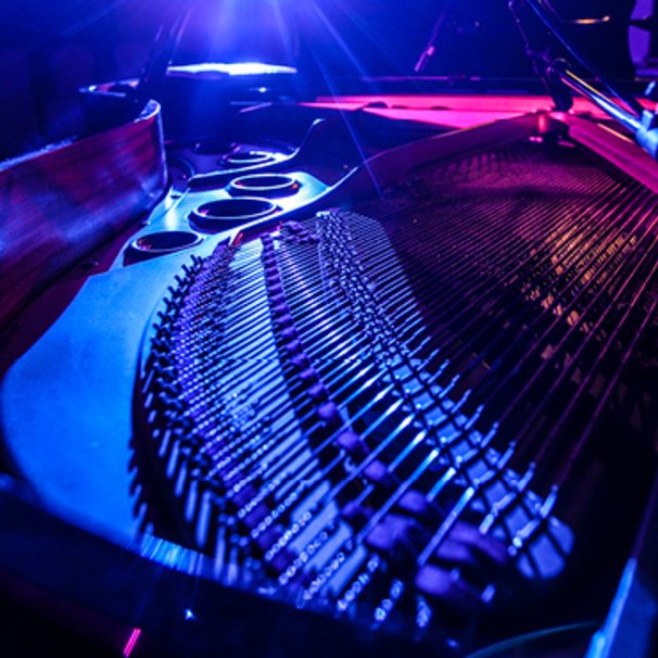 Koncert pod gwiazdami online