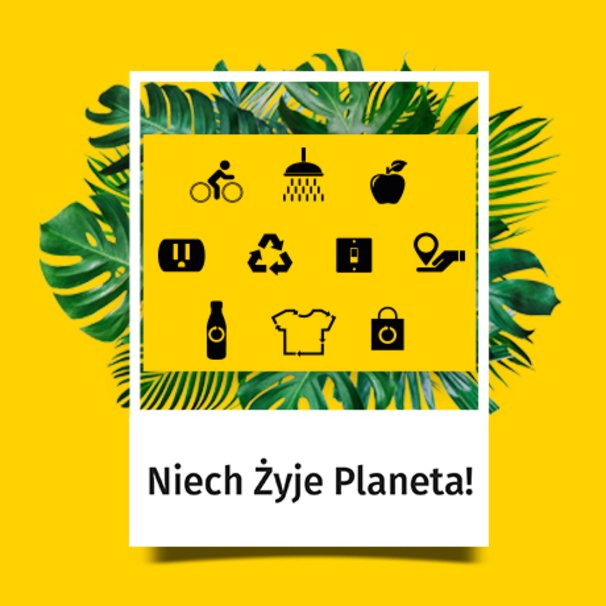 Żółta plansza z liśćmi, czarnymi ikonami pośrodku i hasłem akcji na białym tle poniżej