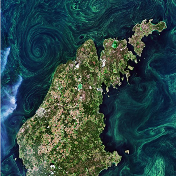 Zdjęcie satelitarne fragmentu Ziemi