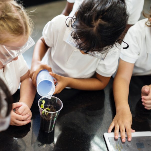 Zdjęcie z góry, na środku stolik z kubkiem, w środku widac ziemię i roślinę, dookoła są dzieci.