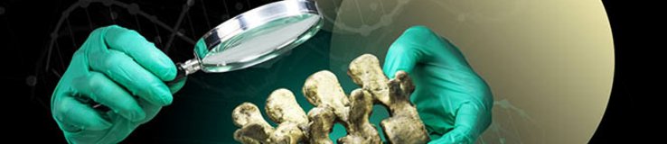 Ręce w zielonych rękawiczkach laboratoryjnych trzymają fragment kości z zębami i oglądają go przez lupę. W tle grafika z motywem DNA i abstrakcyjne kręgi naukowe.