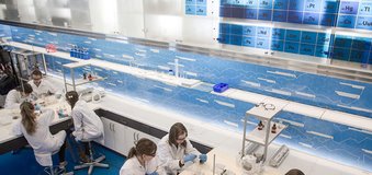 Laboratoria dla grup