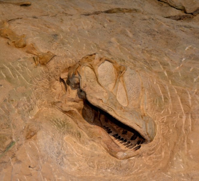 Tam gdzie żyły smoki