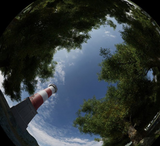 Widok nieba i koron drzew uchwycony obiektywem typu rybie oko, z czerwono-białą latarnią morską po lewej stronie.