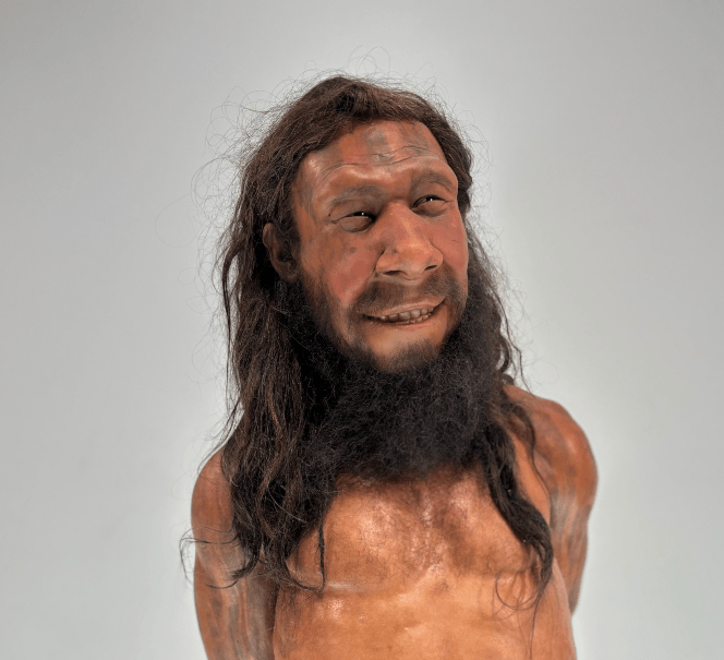 Realistyczna rekonstrukcja postaci neandertalczyka z długimi włosami i brodą.