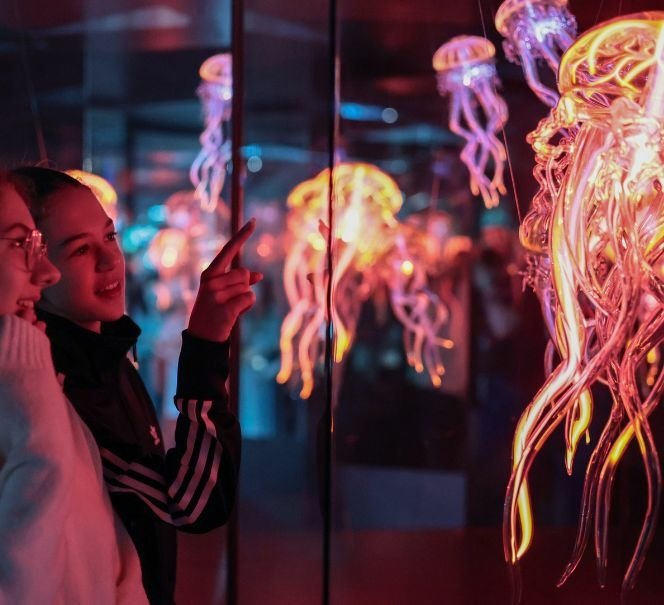 Dwie osoby oglądają świecące instalacje przypominające meduzy w lustrzanej przestrzeni.