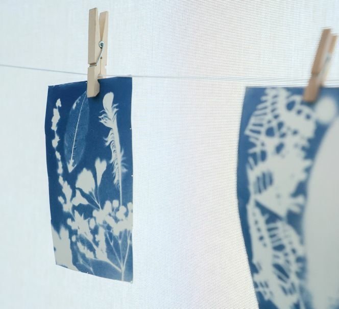 Dwie niebieskie odbitki roślin i wzorów przypięte klamerkami do sznurka – prace wykonane techniką cyjanotypii.