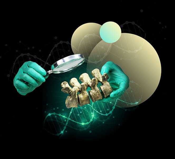 Ręce w zielonych rękawiczkach laboratoryjnych trzymają fragment kości z zębami i oglądają go przez lupę. W tle grafika z motywem DNA i abstrakcyjne kręgi naukowe.